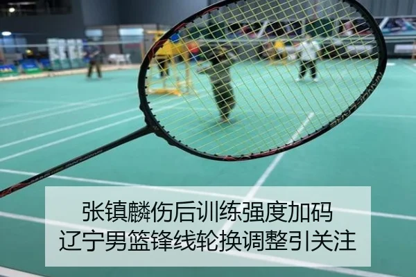 张镇麟伤后训练强度加码 辽宁男篮锋线轮换调整引关注